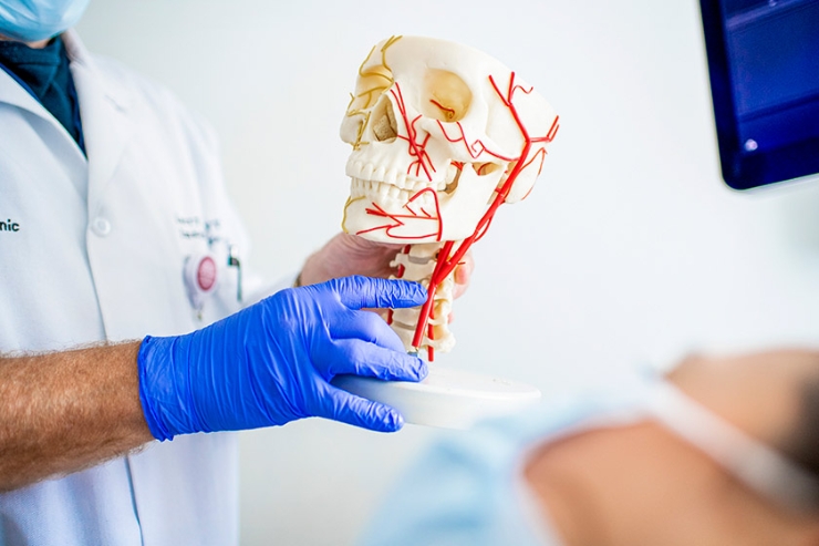 Resection of paragangliomas (e.g., carotid body tumors)